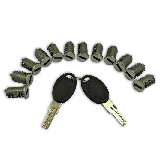 KIT COMPOSTO DA 12 CILINDRI E 2 CHIAVI